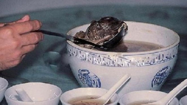 Plasenta yang dijadikan makanan di China. Foto: Repro Viva.co.id