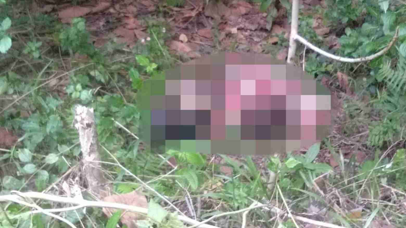 Penemuan sesosok mayat di Desa Tanea, Kecamatan Konda, Kabupaten Konawe Selatan. Foto: Ist.