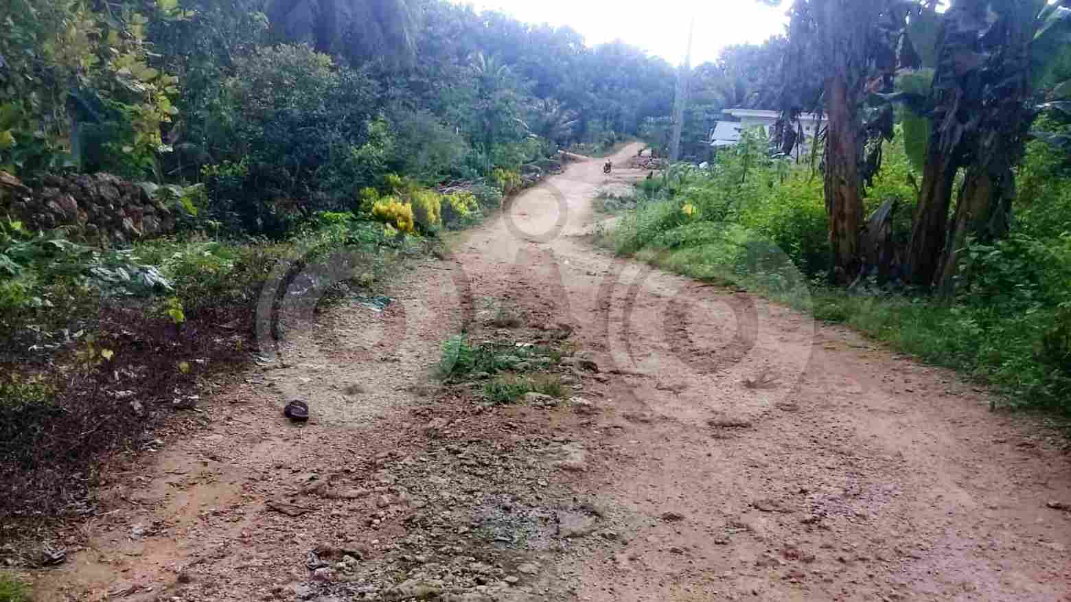 Jalan menuju sekolah di Desa Dahiango yang rusak. Foto: Mutarfin/Telisik