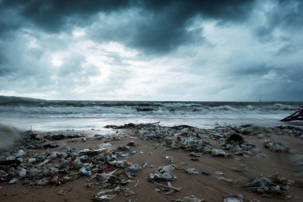 Bahaya sampah laut bagi kehidupan. Foto: Repro Idntimes