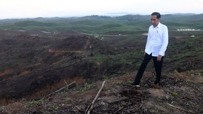 Presiden Jokowi saat meninjau lokasi rencana IKN baru. Foto: Repro ANTARA