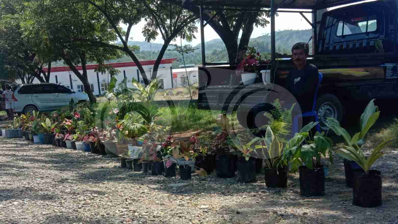 Pedaganhg bunga di sepanjang depan Pasar Raya Kolaka. Foto: Muh. Sabil/Telisik