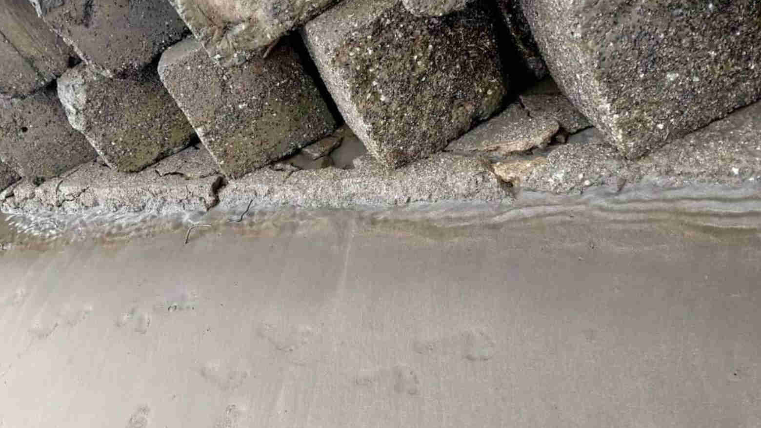 Kondisi konstruksi dasar bangunan yang retak. Foto: Ist.