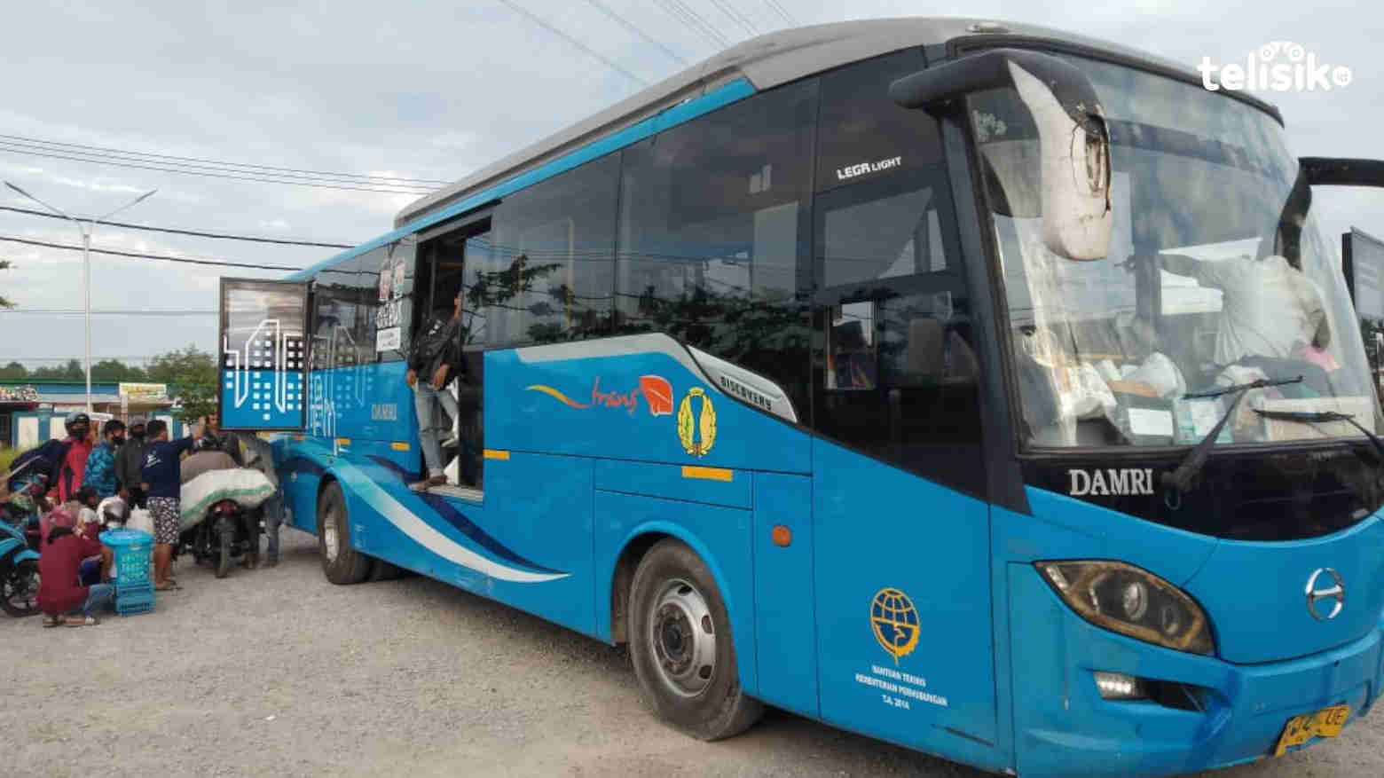 Bus Damri. Foto: Musdar/Telisik