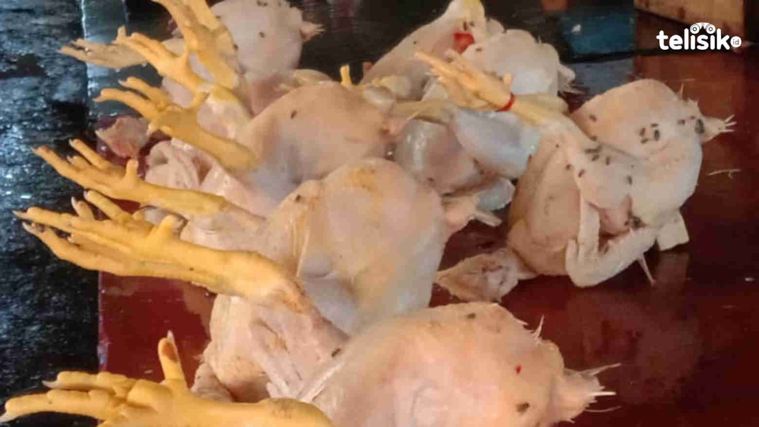 Penjual ayam potong di pasar raya Mekongga Kolaka. Foto: Muh. Sabil/Telisik