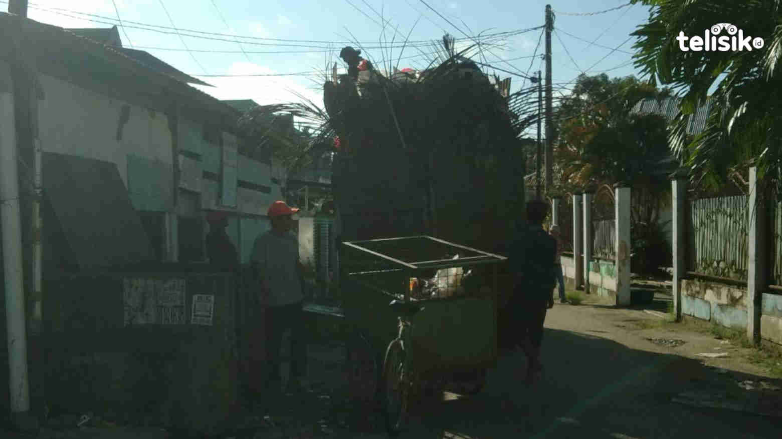 Wali Kota Kendari, Sulkarnain Kadir. Foto: Musdar/Telisik
