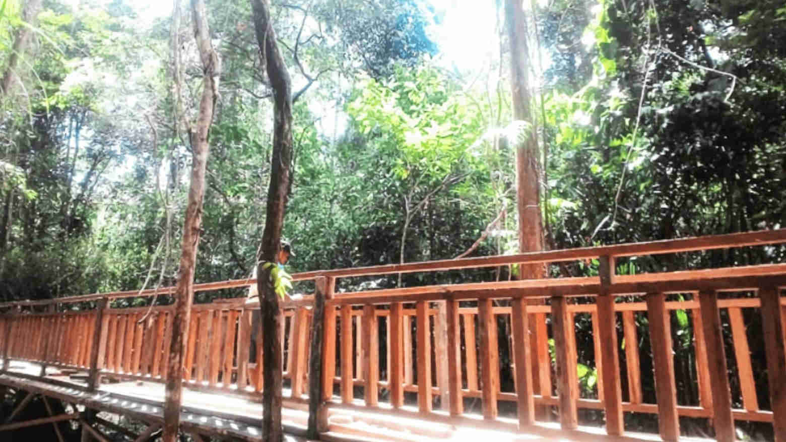Kebun Raya UHO. Foto: Repro quipper.com