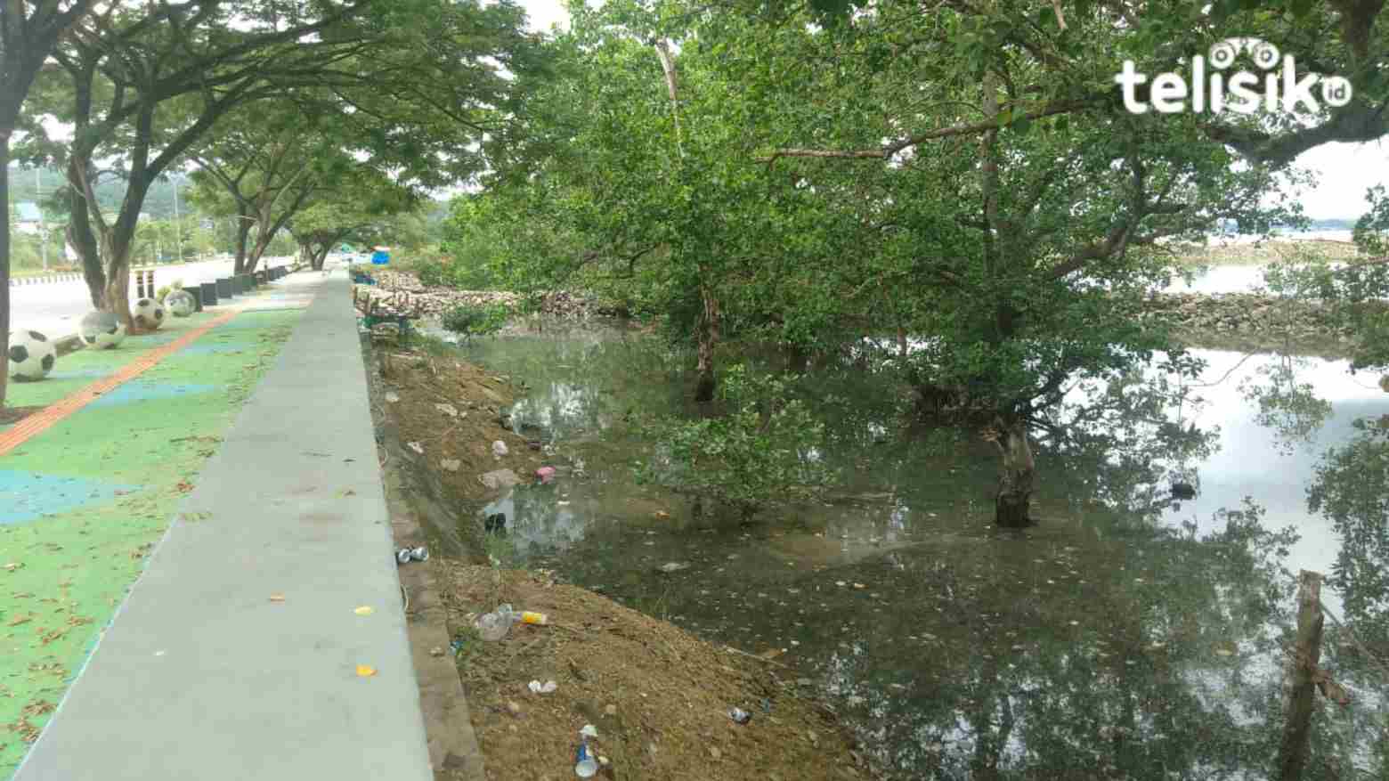 Sampah di tepi laut jalan Bypass Kendari. Foto: Fitrah Nugraha/Telisik