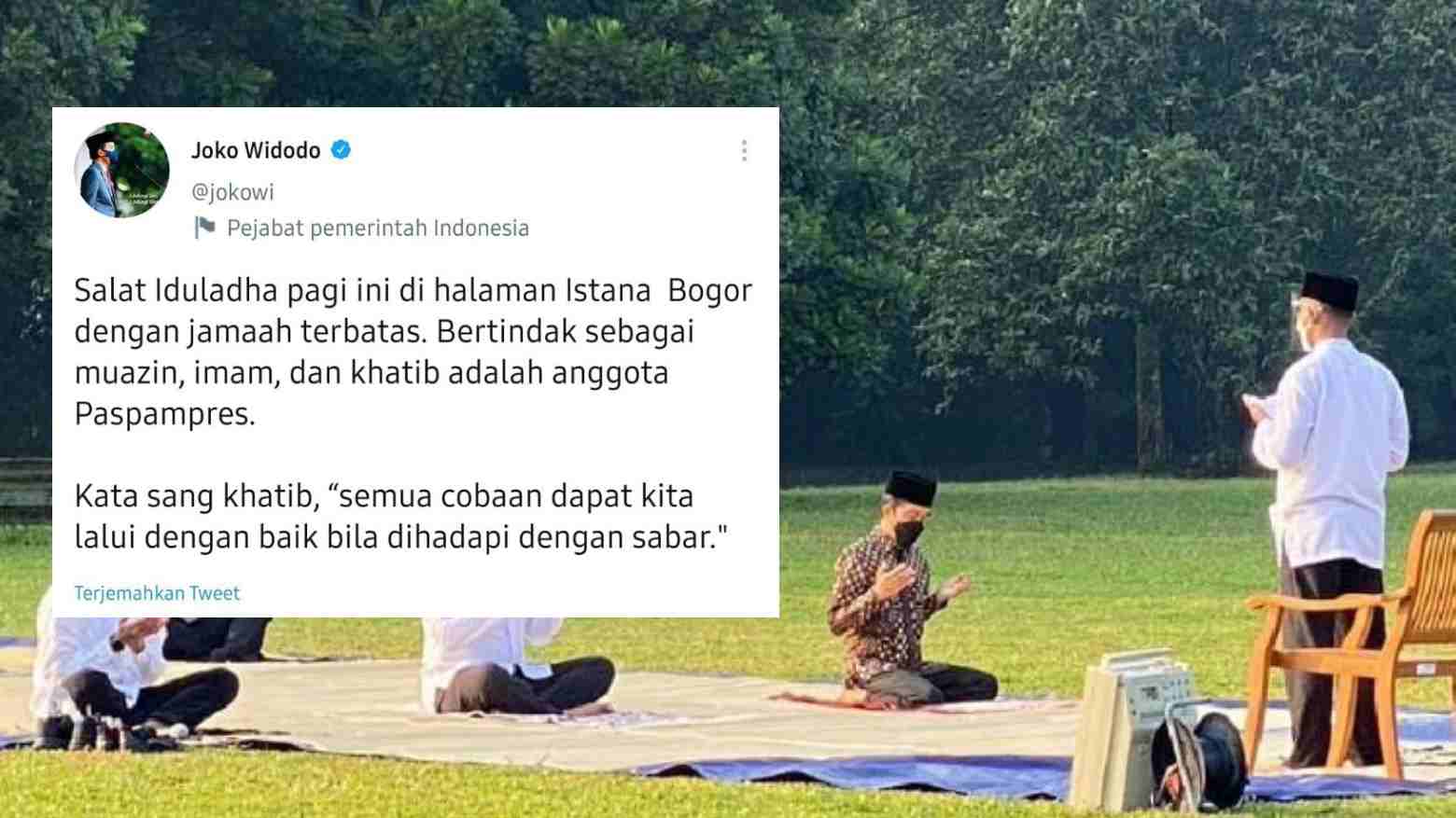 Akun Twitter Presiden Jokowi banyak dapatkan cibiran dari warganet. Foto: Repro Twitter