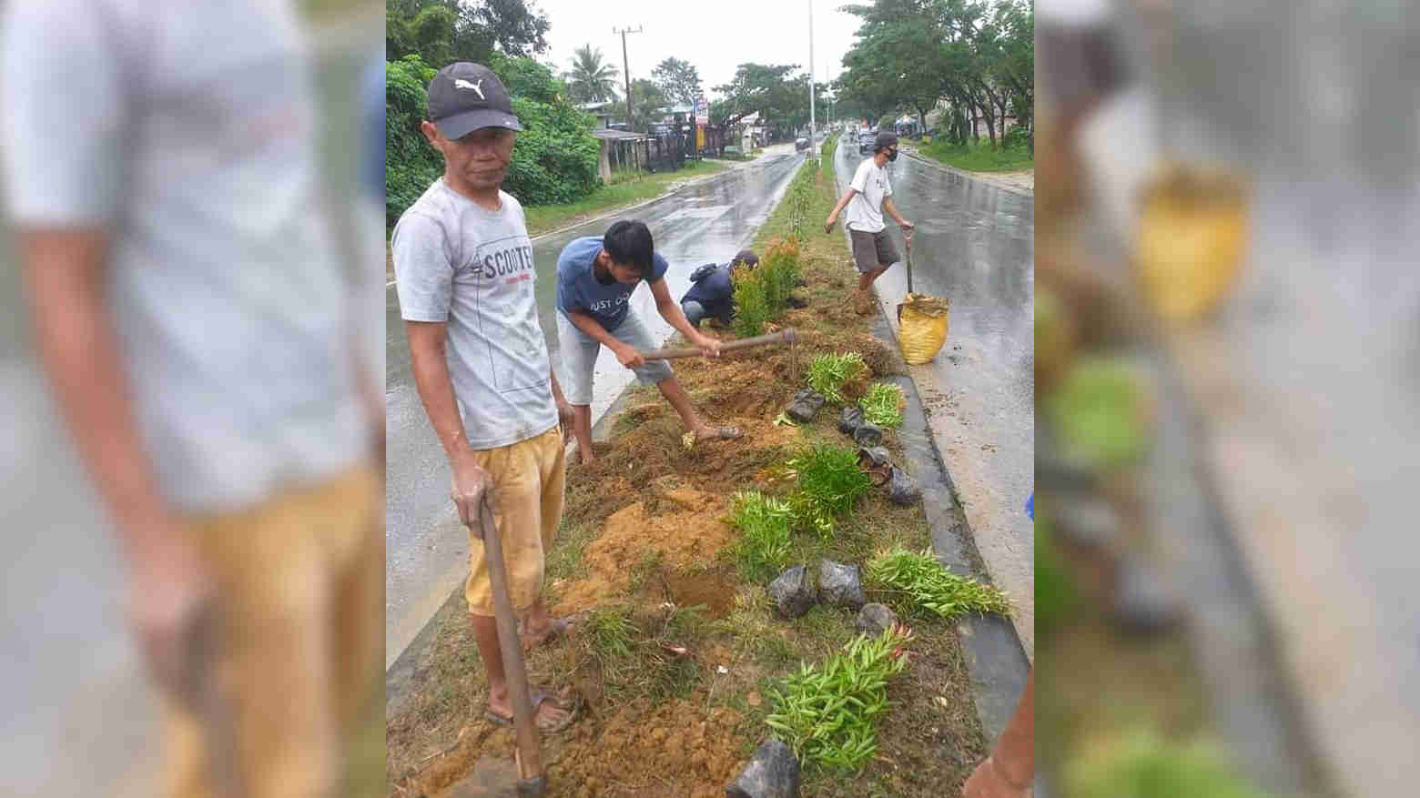 Petugas RTH DLHK Kota Kendari. Foto: Ist.