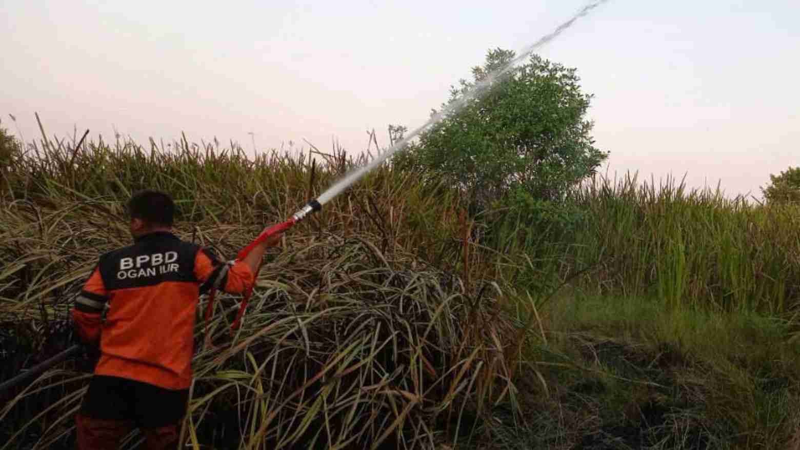 Karhutla Meluas, 6 Helikopter Dikerahkan Padamkan Lahan Terbakar di Ogan Ilir