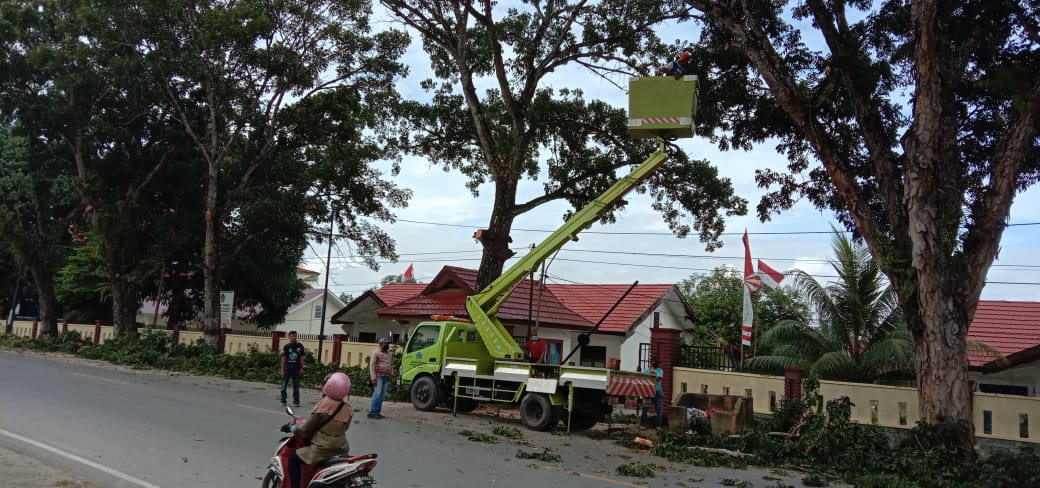 Petugas DLHK Kota Kendari sedang melakukan pemangkasan pohon menggunakan mobil Skywalker. Foto: Ist.