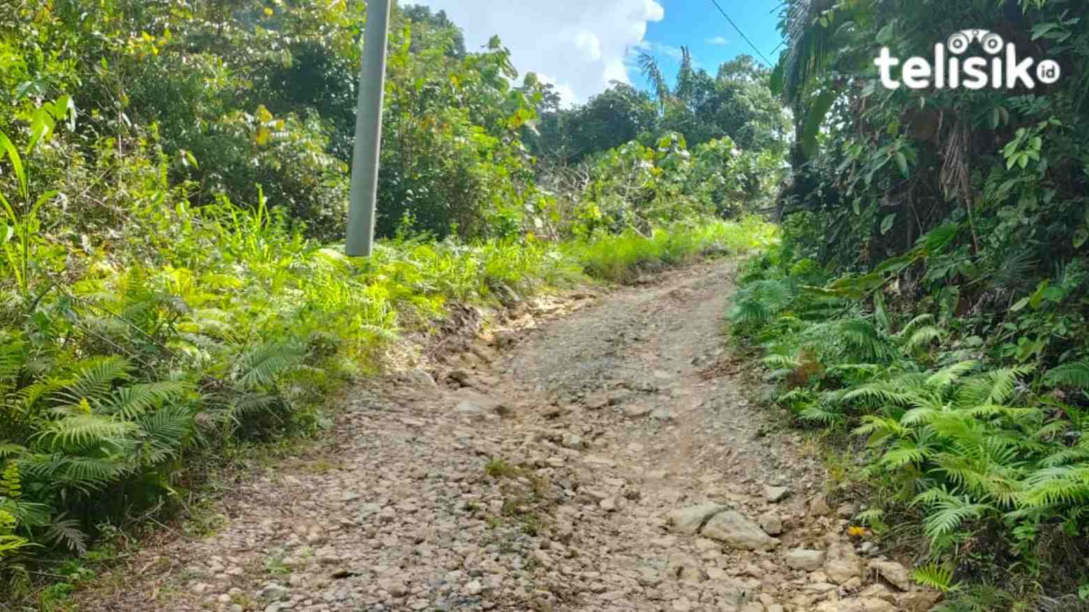Kondisi jalan poros poros provinsi Sultra yang menghubungkan Kecamatan Batu Putih, Porehu, dan Tolala. Foto: Muh. Risal/Telisik