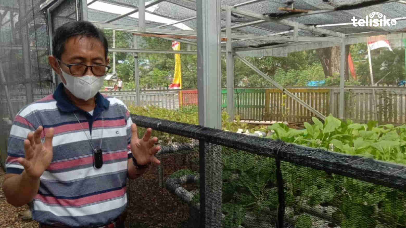 Muhammad Siarah, Kadis Pertanian Kabupaten Bombana. Foto: Hir/Telisik