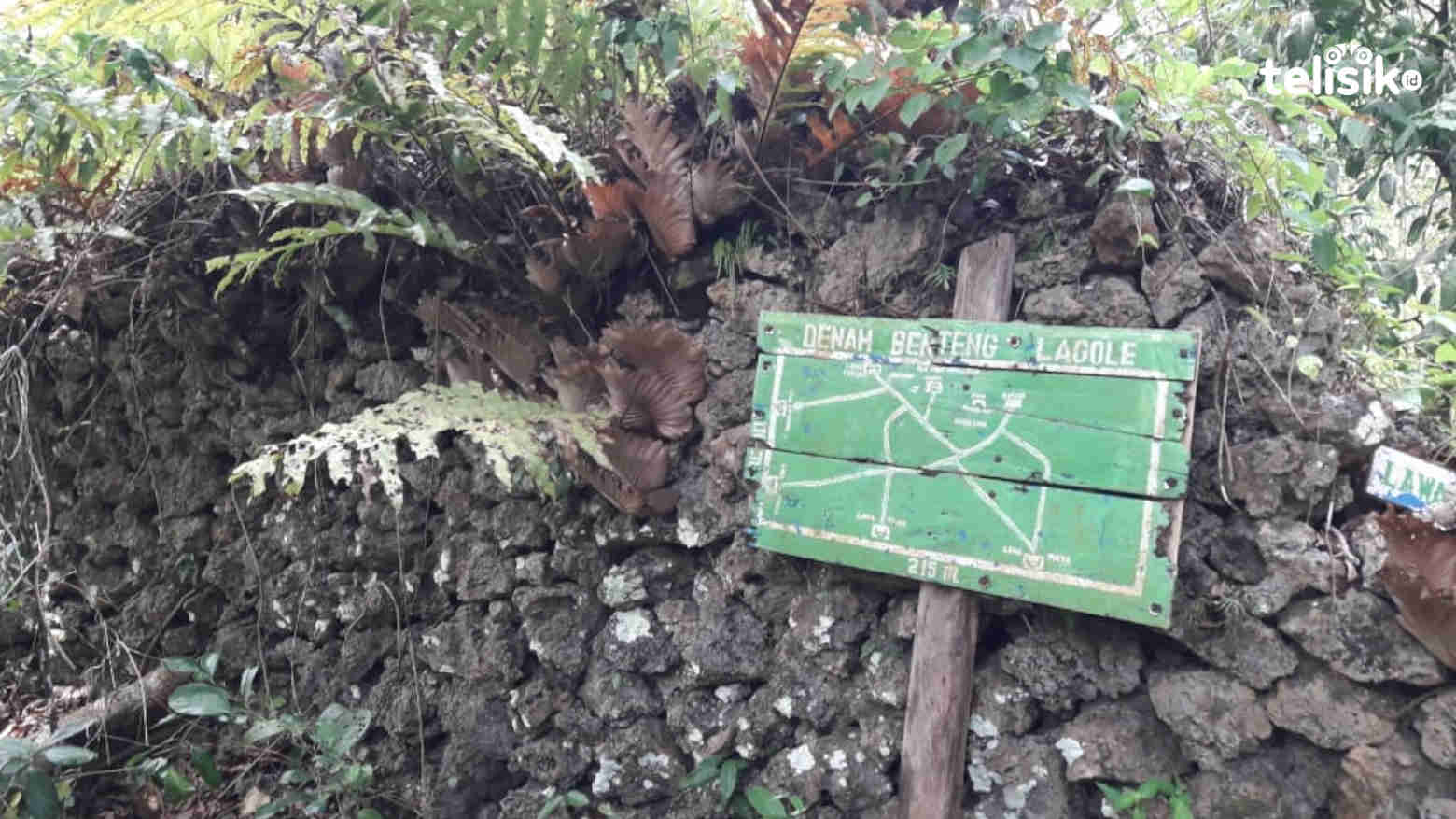 Kondisi Benteng Awaludin Lagole di Desa Lagole/Wowotimu, Kecamatan Tomia Timur, Kabupaten Wakatobi. Foto: Boy/Telisik