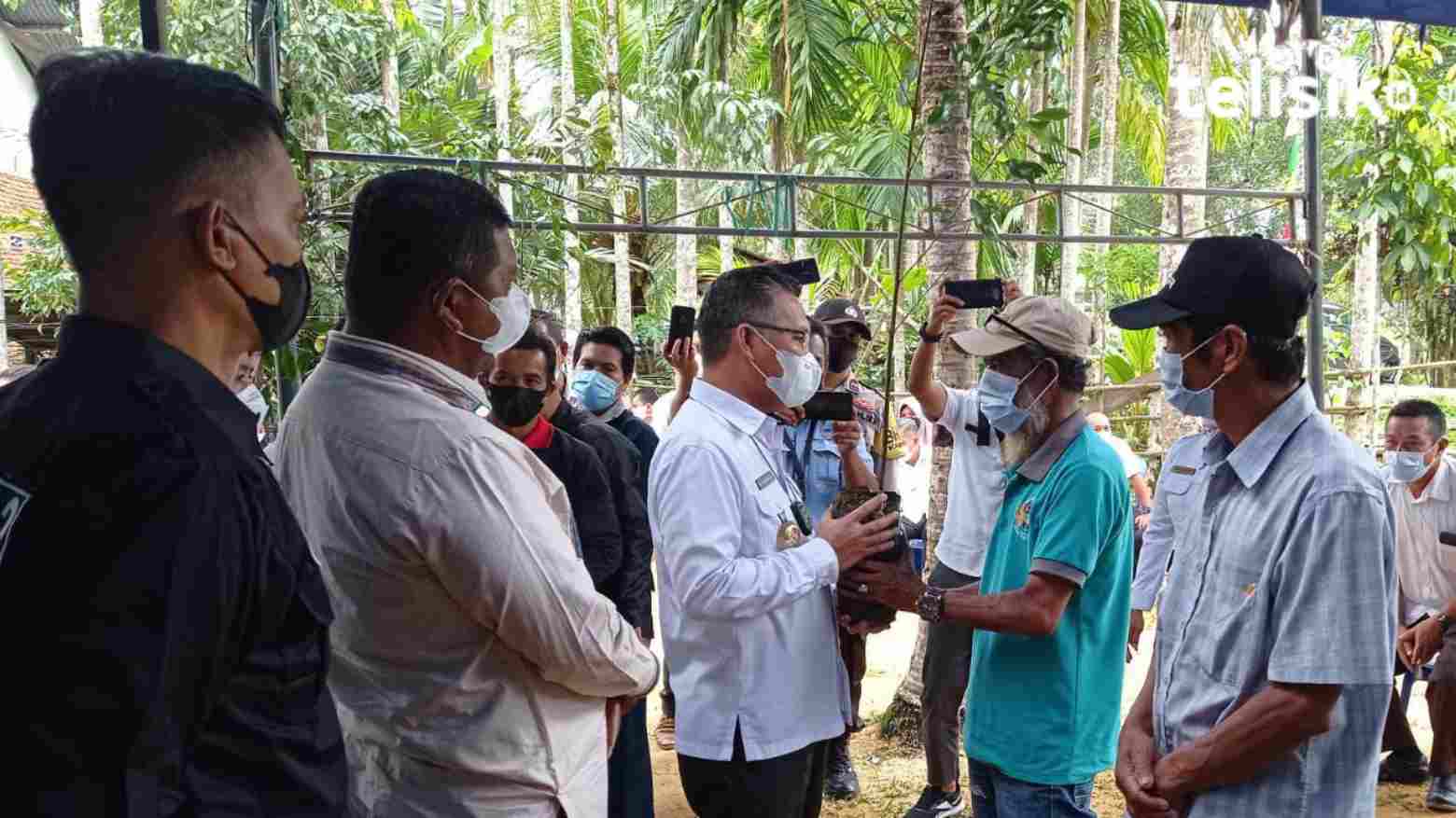 Wali Kota Kendari Sulkarnain Kadir menyerahkan bantuan bibit cengkeh pada perwakilan petani di Kelurahan Watulondo, disaksikan Ketua DPRD Kota Kendari. Foto: Sumarlin/Telisik