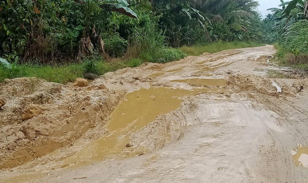 Kondisi jalan poros Desa Teteinea Jaya, Konsel, yang tak kunjung mendapatkan perhatian pemerintah. Foto: Ist.