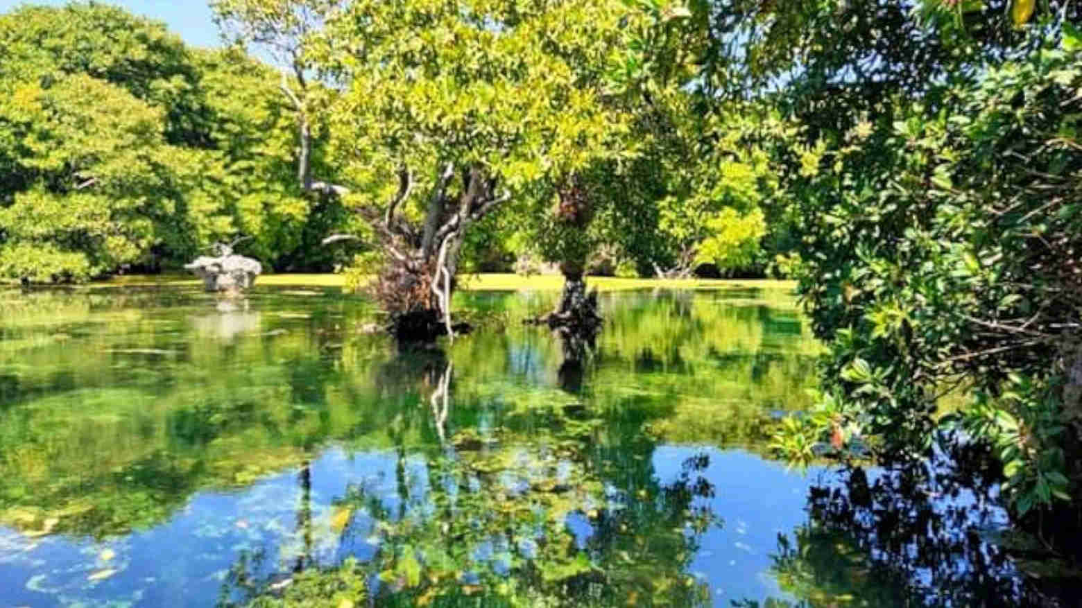 Danau Kamento yang dihuni oleh seekor buaya putih. Foto: Ist.