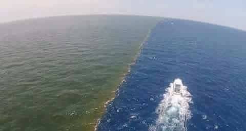 Selat Gibraltar. Foto: Repro Kumparan.com