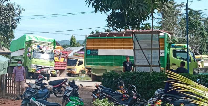 Nampak beberapa truk bertonase besar bermuatan logistik yang tertahan akibat pemblokiran jalan. Foto: Ist.