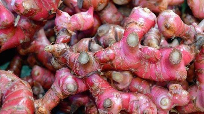 Campuran jahe merah dan madu sangat baik untuk pengobatan alami. Perpaduan keduanya memberi senyawa dan vitamin yang lengkap untuk asupan tubuh.  Foto: Repro Tribunnews.com 