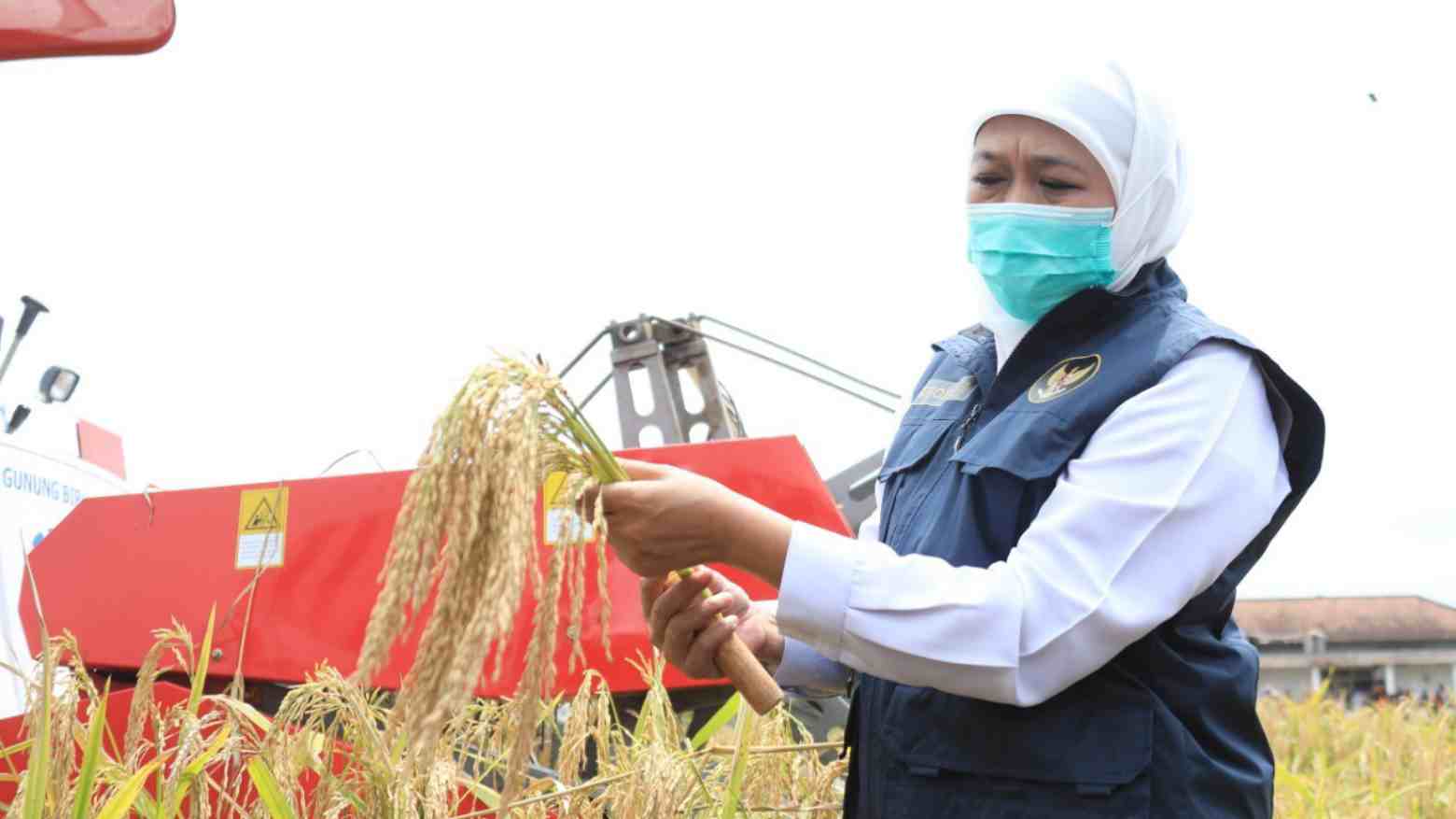 Gubernur Jatim Khofifah Indar Parawans. Foto: Ist.