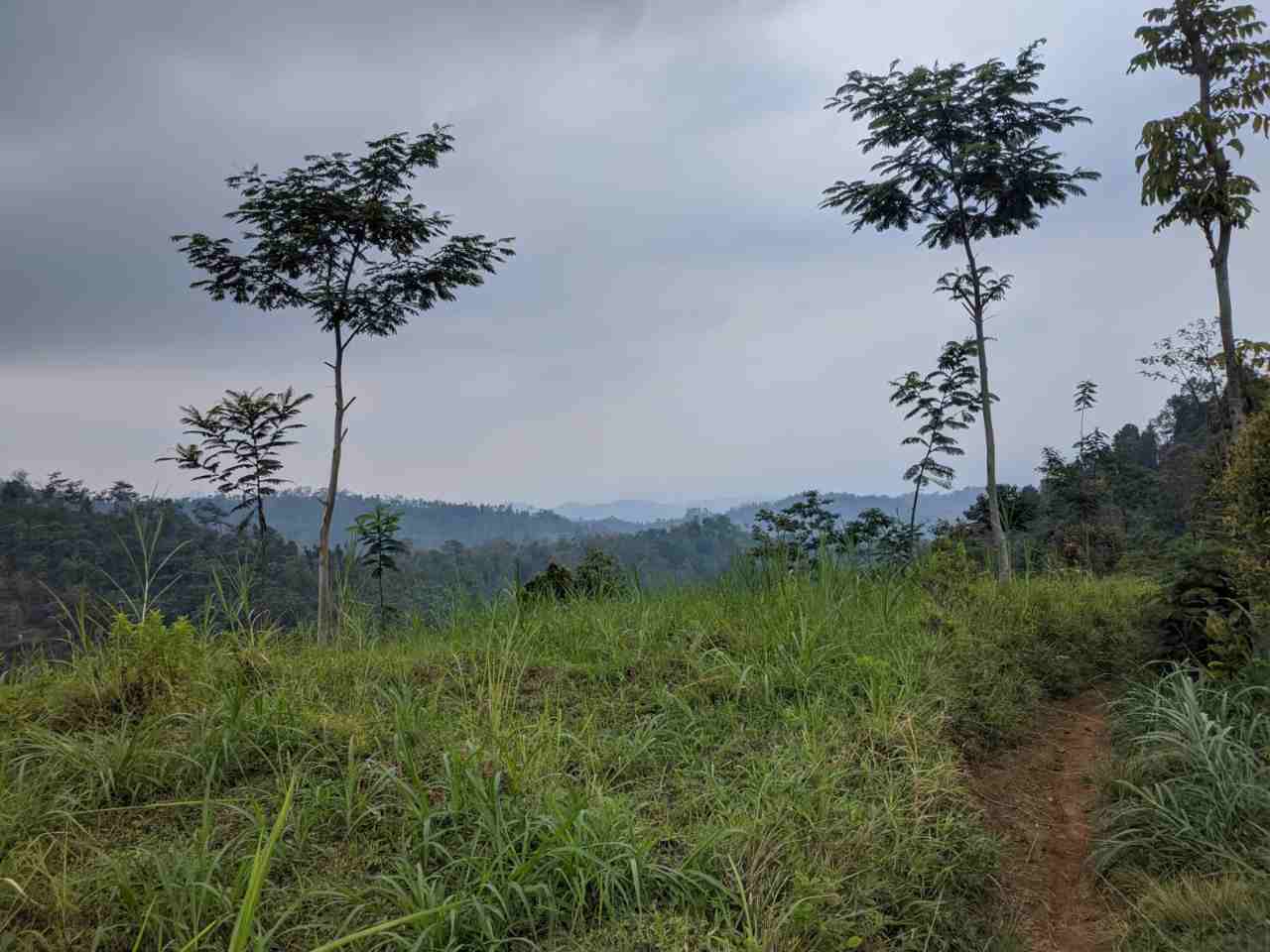 Lokasi eks perkebunan milik PT jasa Jatayu. Foto: Ist.