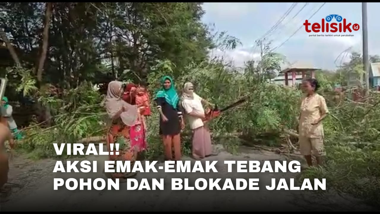 Video: Viral!! Aksi Emak-Emak di Muna Sultra Tebang Pohon dan Blokade Jalan