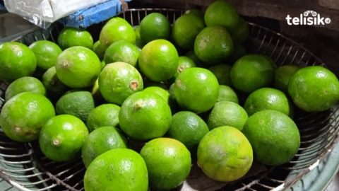 Tampak sejumlah buah jeruk nipis, dagangan salah satu pedagang di Pasar Panjang Kota Kendari. Foto: Apriliana Suriyanti/Telisik