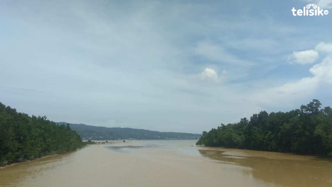 Penampakan Teluk Kendari yang mengalami pendangkalan akibat sedimentasi. Foto: Wa Ode Umratul Khazanah/Telisik