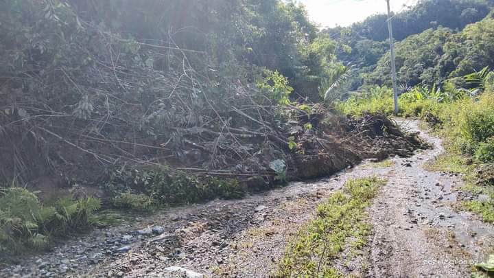 Akses jalan poros Trans Sulawesi menuju Desa Loka, Kecamatan Tolala yang tertutup material longsor. Foto: Ist.