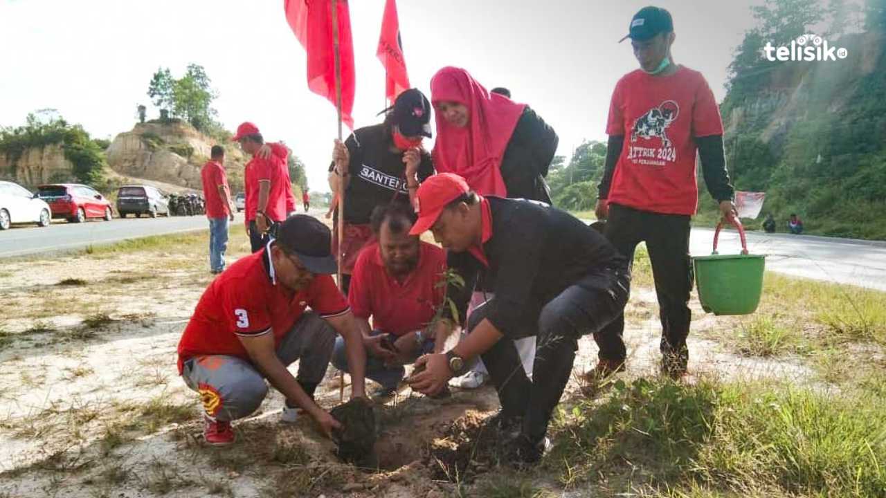 Penanaman pohon yang dilakukan pengurus PDIP Sultra di Kota Kendari. Foto: Kardin/Telisik