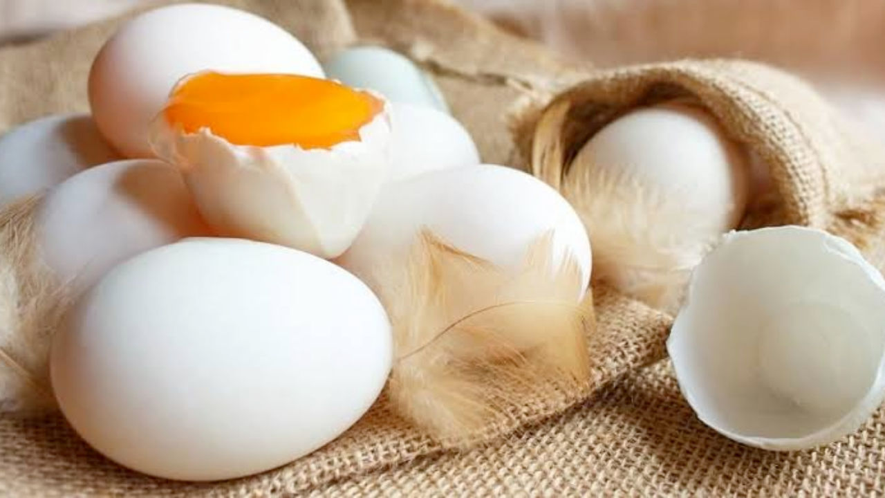 Telur bebek merupakan salah satu sumber protein yang banyak mengandung nutrisi. Foto: Repro sehatq.com