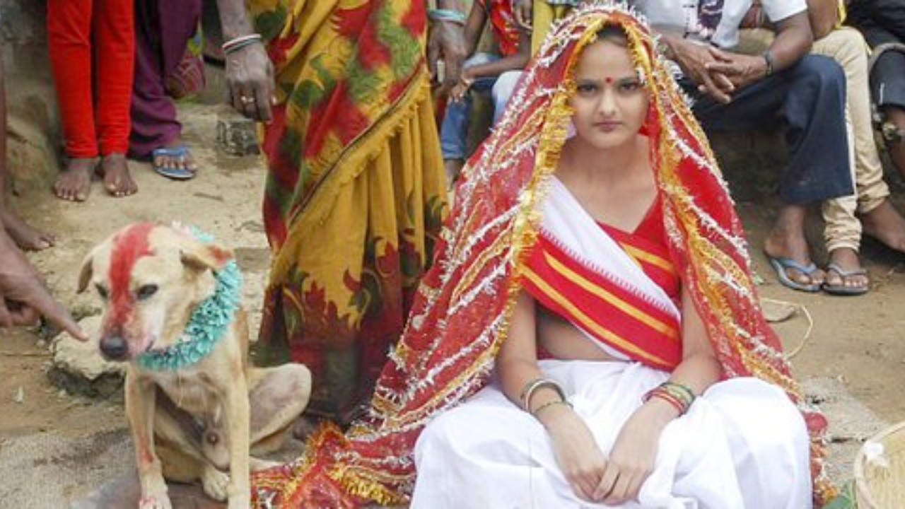 Wanita di India nikahi anjing. Foto: Repro Dailymail