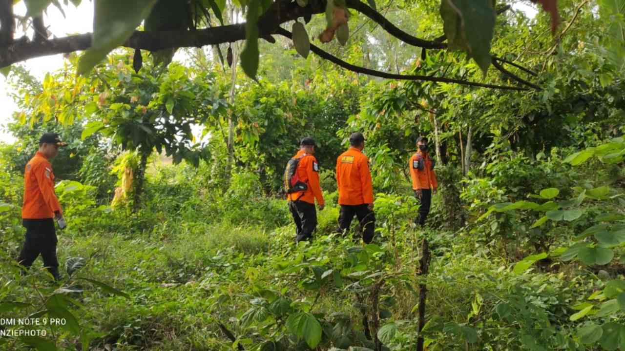 Tim Basarnas melakukan pencarian warga yang hilang di hutan Poli-polia, Koltim. Foto: Basarnas Kendari