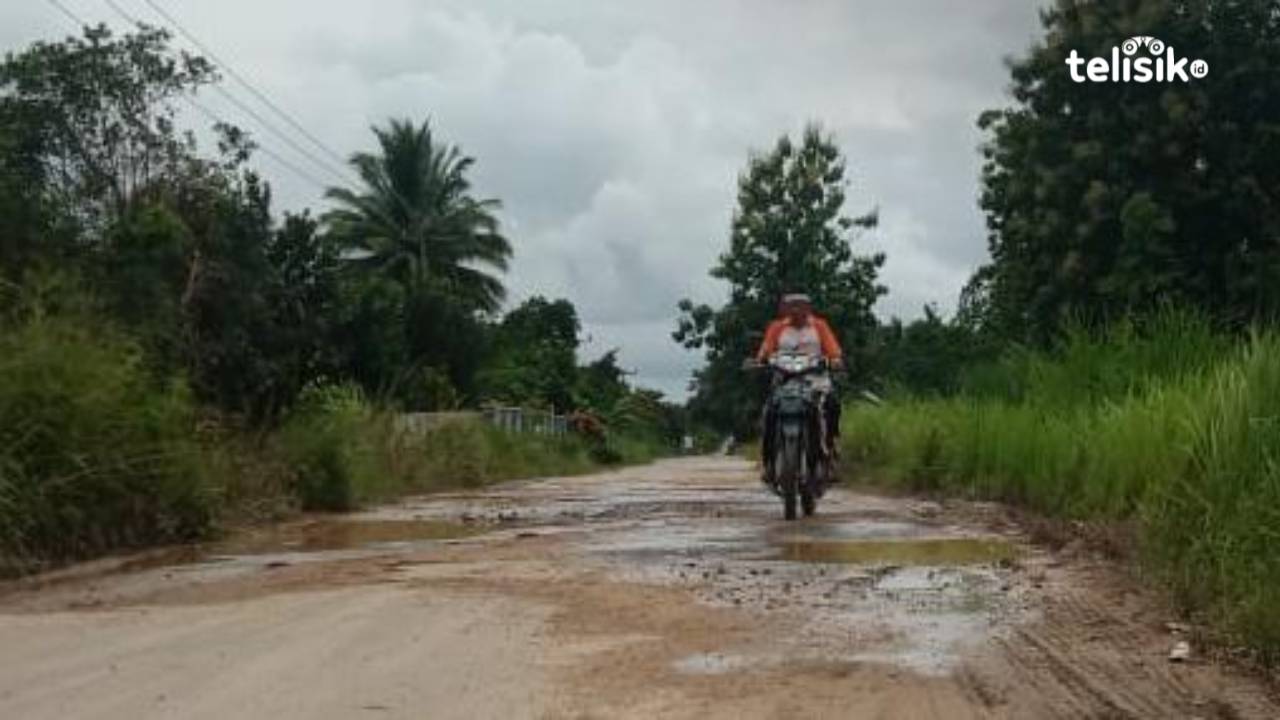 Kondisi jalan rusak dan berlubang di jalan poros Waumere Wulangga Jaya, Kecamatan Tiworo Kepulauan Kabupaten Muna Barat. Foto Amsir/Telisik
