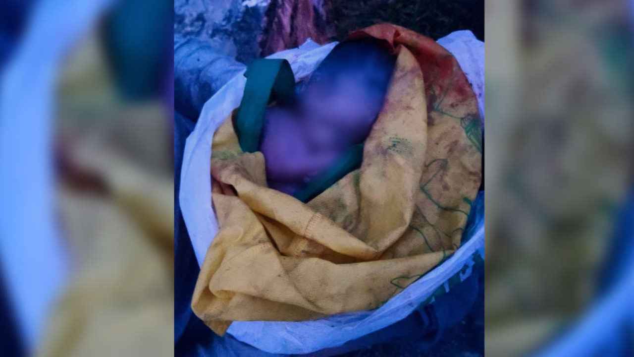 Bayi pertama kali ditemukan oleh seorang petugas kebersihan bernama Cecilia (36) dalam keadaan hidup di dalam bak sampah, Senin (7/2/2022). Foto: Ist.