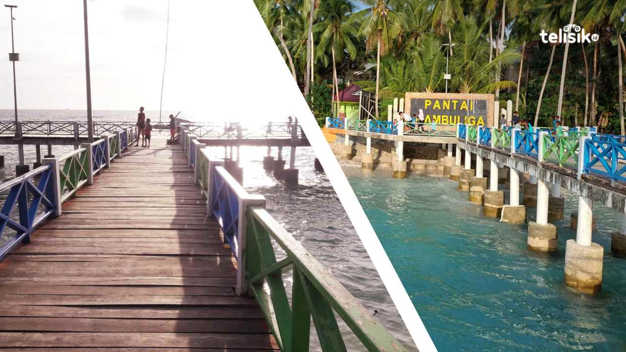 Panorama Pantai Wambuliga di Wakatobi Foto: Boy Candra Ferniawan/Telisik