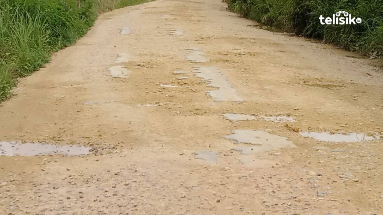 Kondisi jalan rusak di Kecamatan Tiworo Selatan, Mubar. Foto: Amsir/Telisik