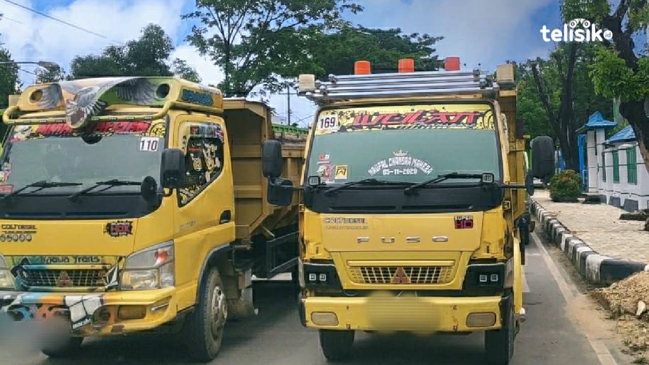 Truk yang terparkir di tepi jalan. Foto: Ruliawan/Telisik