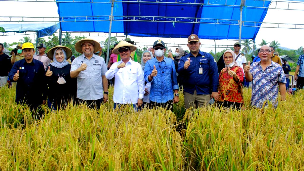 Bupati Konawe Selatan, Surunuddin Dangga (keempat dari kiri) dalam suatu kegiatan di Kecamatan Konda. Foto: Ist
