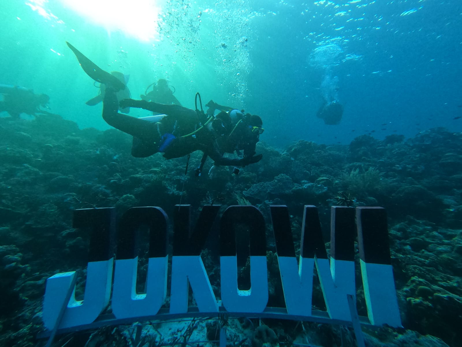 Keindahan spot penyelaman Jokowi Point di bawah  laut Wakatobi. Foto: Ist.