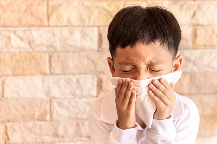 Kita bisa mengatasi pilek alergi pada anak dengan beberapa cara, salah satunya dengan mencuci atau mengganti mainan yang sering mereka gunakan. Foto: halodoc.com