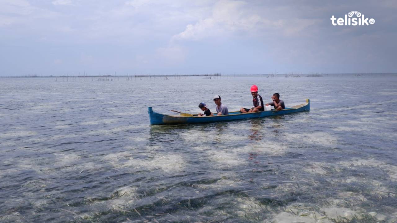 Aktivitas masyarakat nelayan hukum adat Wabula ketika melakukan pemantauan di wilayah Kaombo Foto: Dheny/Telisik