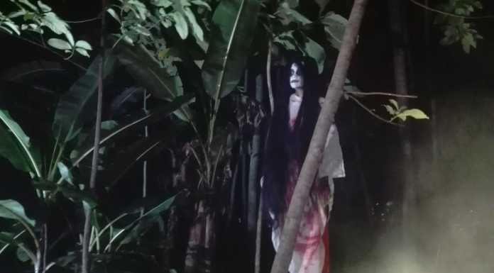 Ilustrasi makhluk halus. Banyak mitos yang berkembang di masyarakat bahwa tempat tinggal makhluk halus adalah di pohon tinggi dan rimbun. Foto: terkiniid