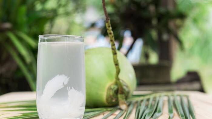 Kaya akan manfaat, air kelapa dapat membantu kelancaran haid wanita. Foto: Repro Detik.com