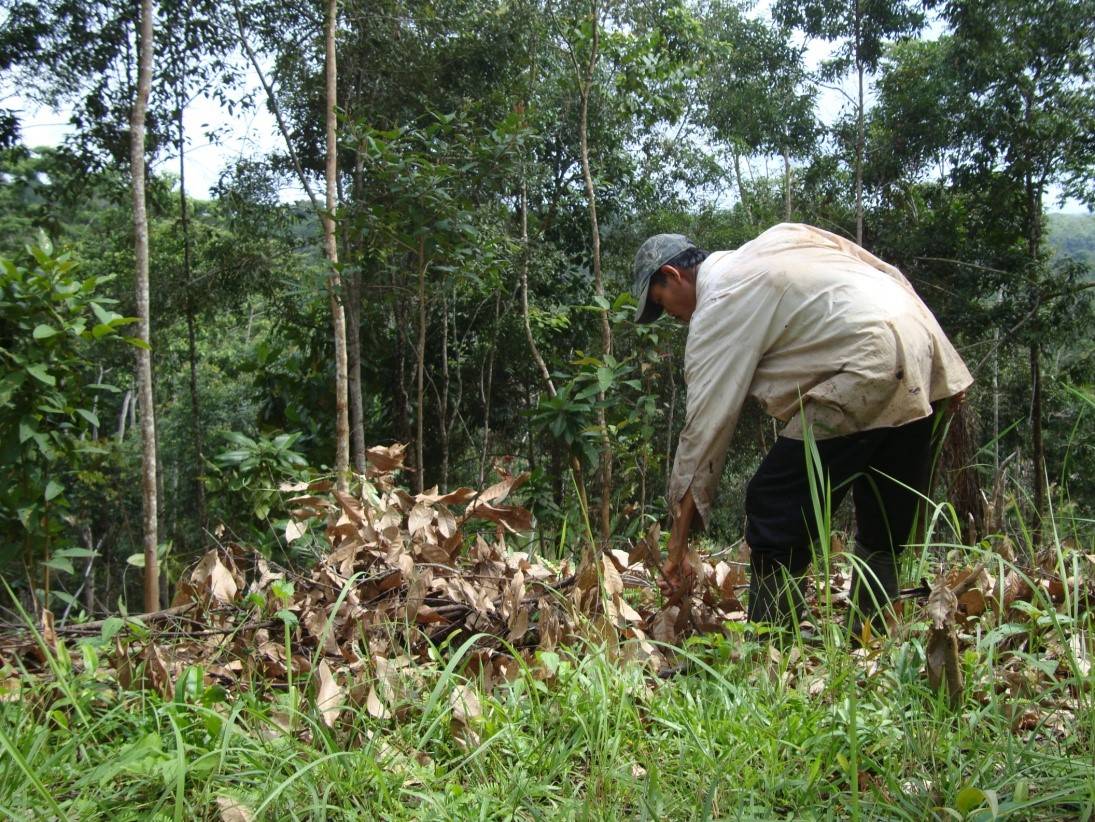 I Gusti Putu Sukadan selaku perintis lahan penanaman pohon beringin yang meraih penghargaan Kalpataru KLHK 2022. Foto: Ist.
