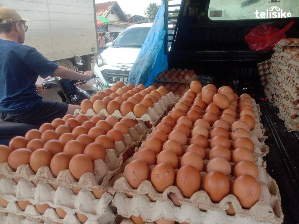 Harga telur ayam di pasar Anduonohu Kota Kendari mengalami kenaikan beberapa hari terakhir ini. Foto: La Ode Muh Martoton/Telisik