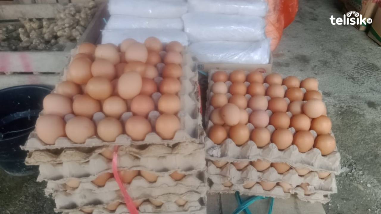 Harga telur di Kolaka Utara mengalami kenaikan harga sejak sebulan lalu. Foto: Muh Risal H/Telisik