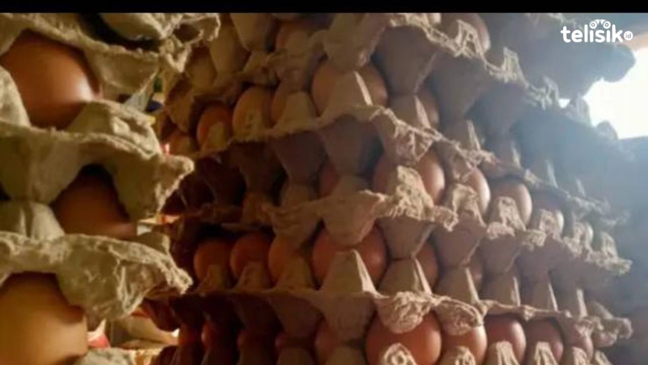 Harga telur yang dijaul di Pasar Tadoha Mappacing Bombana, terpantau masih normal, tidak mengalami kenaikan seperti yang terjadi di daerah lain di Indonesia. Foto: Hir Abrianto/Telisik